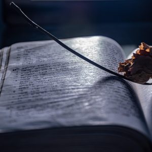 韩漫资源库编辑陈屿在核对页面来源标注，手边放着记录待核条目的清单与一支红笔